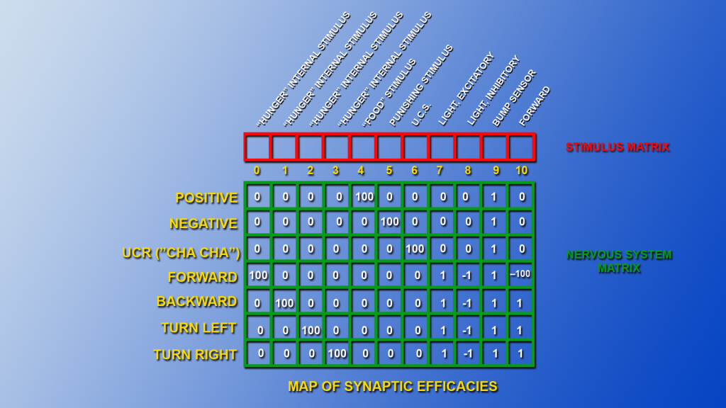 Synaptic Efficacies My Mod